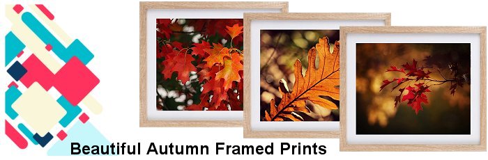 Autum Framed Prints